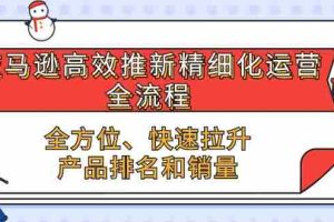 （10554期）亚马逊-高效推新精细化 运营全流程，全方位、快速 拉升产品排名和销量