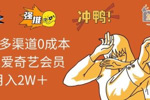 (14118期)2025多渠道0成本售卖爱奇艺会员月入2W+
