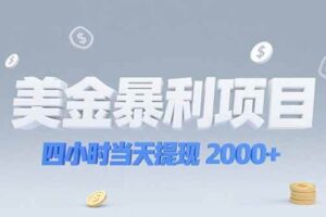 (15251期)美金暴利项目,四小时当天提现 2000+机会留给会选赛道的人