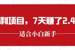 (15228期)最新暴利项目,每单收益轻松在300以上,7天赚了2.4万