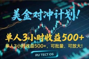 (15321期)长久稳定的撸美金项目,平均3小时收入 500+,可公司实地考察实地操作!
