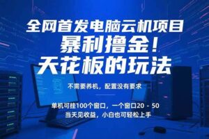 (15323期)电脑云机项目 暴力撸金玩法,不需要养机 配置没有要求 单机100个窗口一…