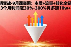 （16152期）营销实战-9月突围课:本质+流量+转化全链路 3个月利润涨30%-300%月多赚10w+